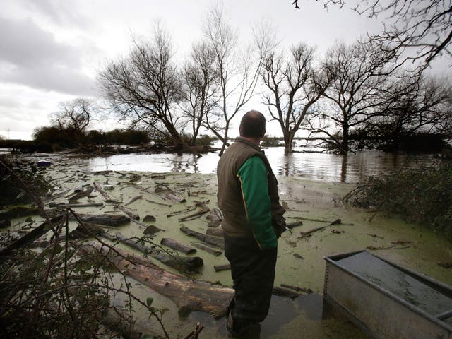 Hell and high water: a Somerset farmer surveys the damage flooding has done to his land and livelihood