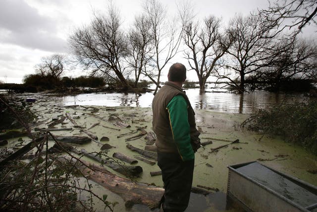 Hell and high water: a Somerset farmer surveys the damage flooding has done to his land and livelihood