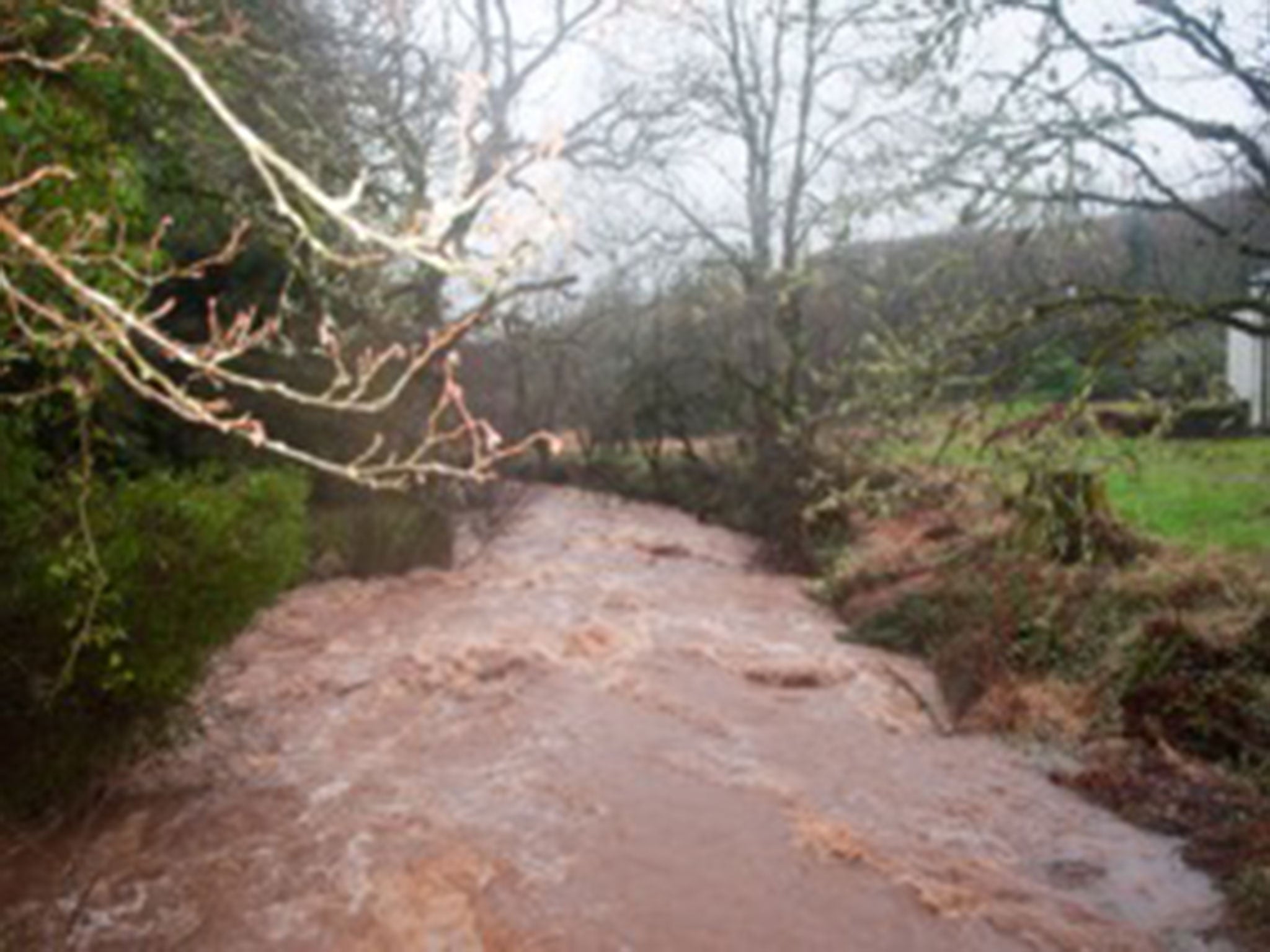 Water falls: the stream beneath the author’s house