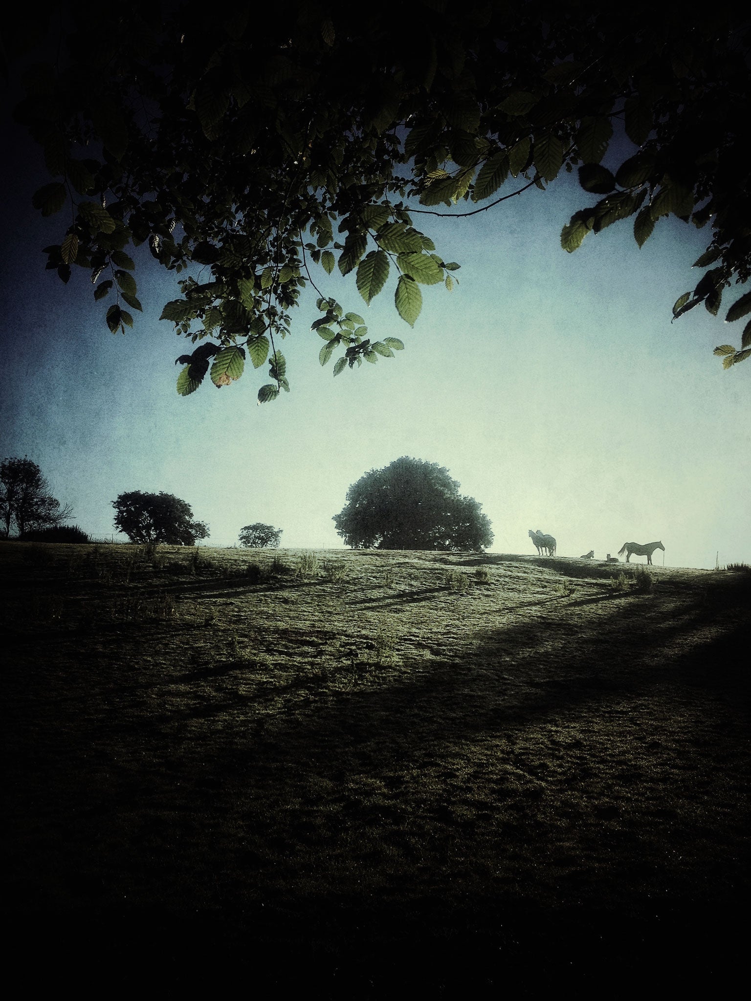 Photographs taken from #IPHONEONLY by Julian Calverley, available signed for £20 from juliancalverley.com