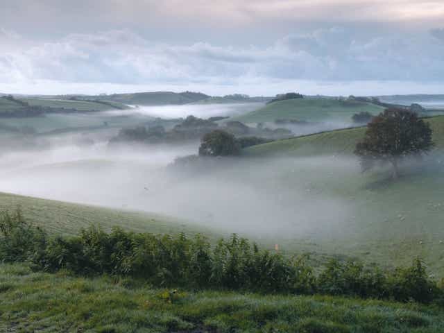The West Dorset vista that captivates Anna Pavord. ‘A quiet view, one that draws you into the land’