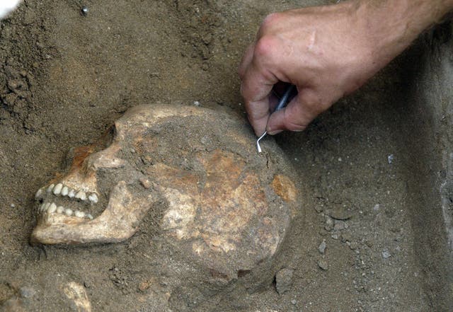 A British archaeologist digs up anicent human bones in Lebanon
