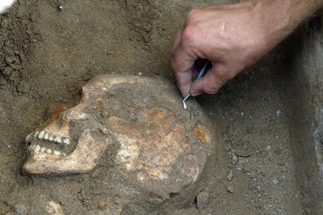 A British archaeologist digs up anicent human bones in Lebanon