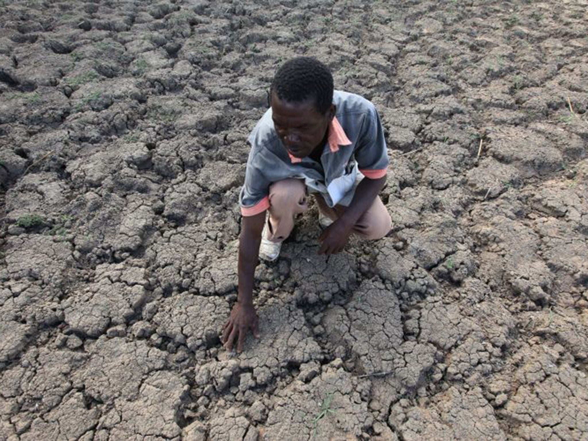 Farmers in the country have seen less than 75 per cent of typically rains because of the El Nino phenonmenon