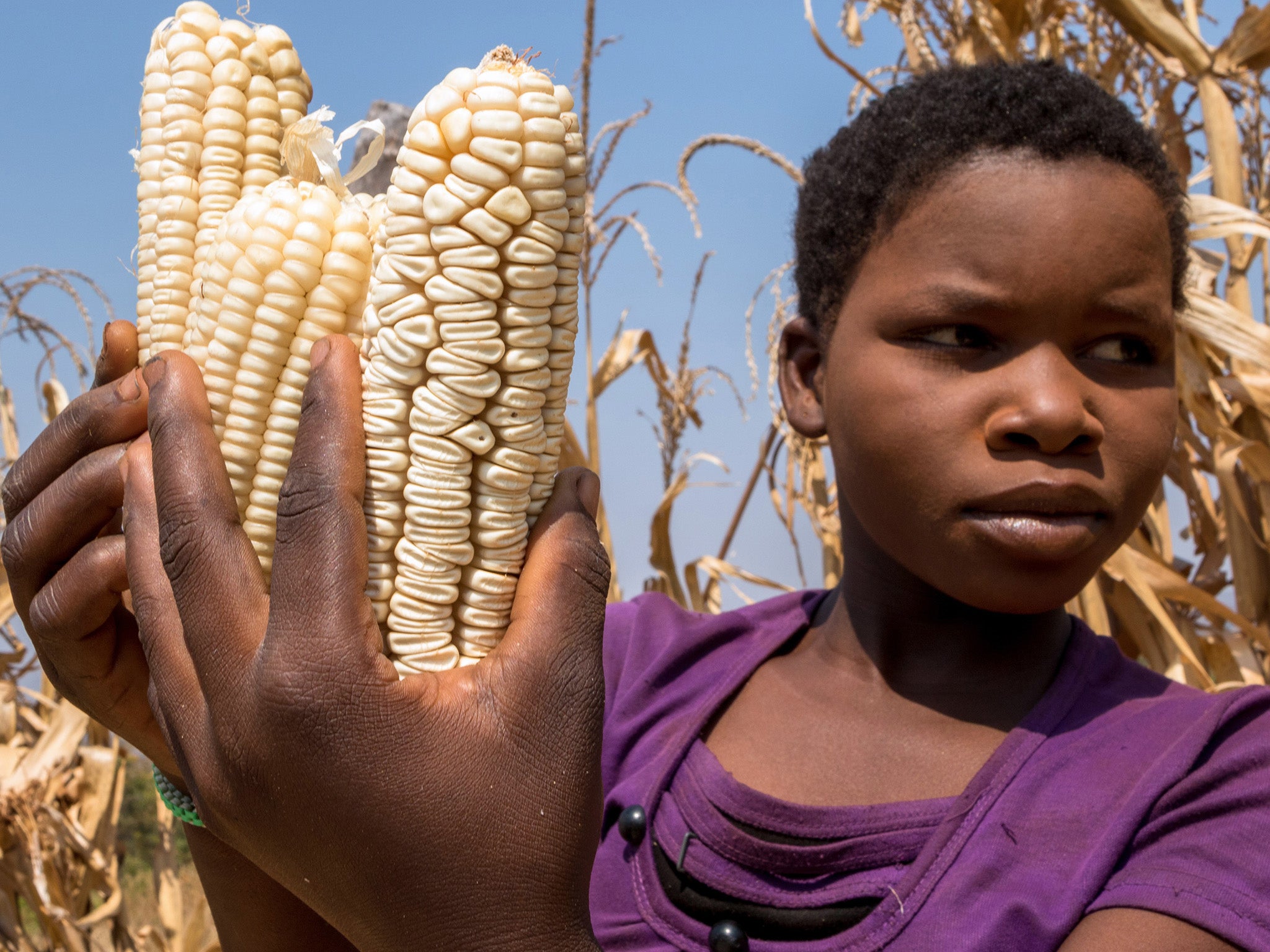 A girl poses with her family's remaining maize crop