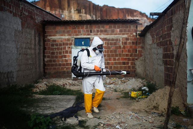 A city worker fumigates in an effort to eradicate the mosquito which transmits the Zika virus