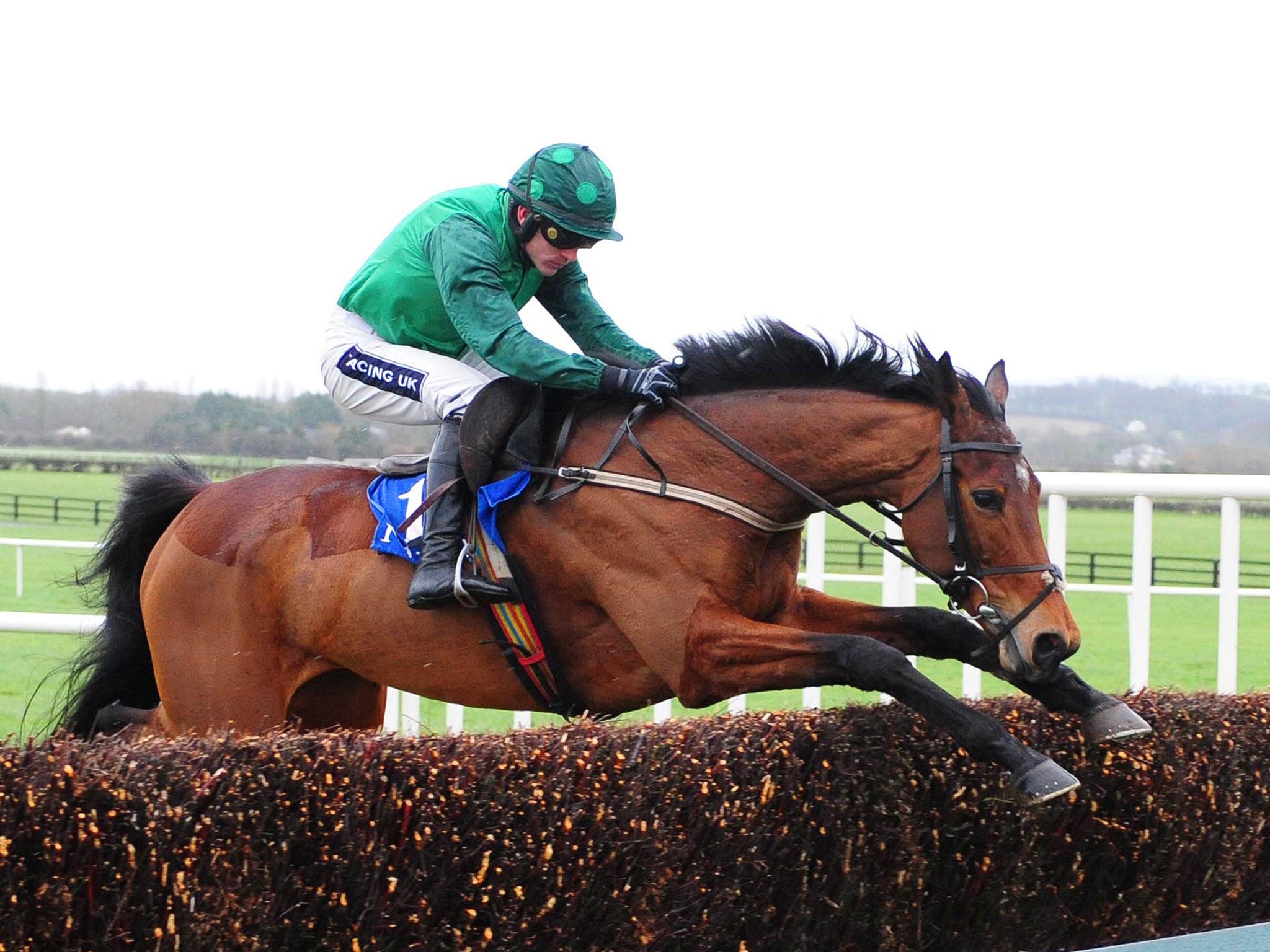 Gitane Du Berlais and Ruby Walsh clear the last fence to land the Opera Hat Mares’ Chase at Naas
