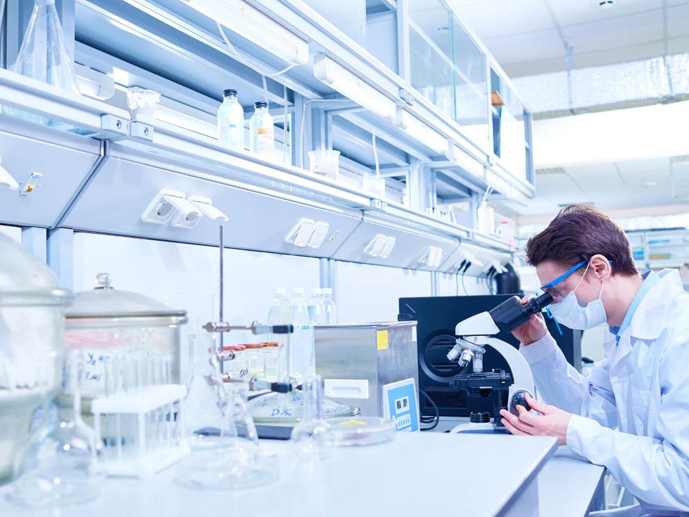 Immunotherapy: 'Revolutionary' new treatment made ...