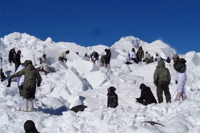 Rescuers searching for survivors after the avalanche at Siachen