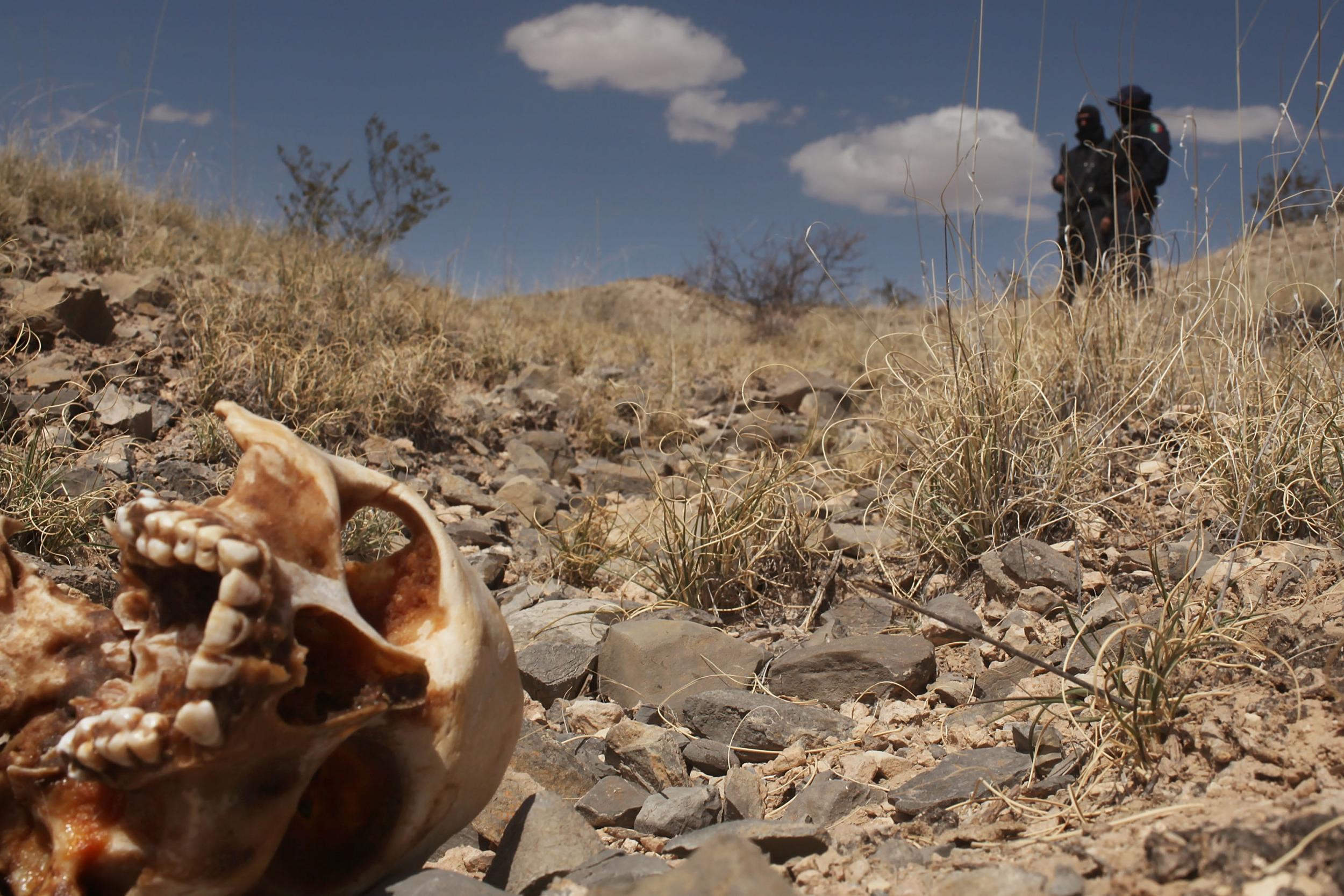 Mexican police stand beside a skull discovered with other remains