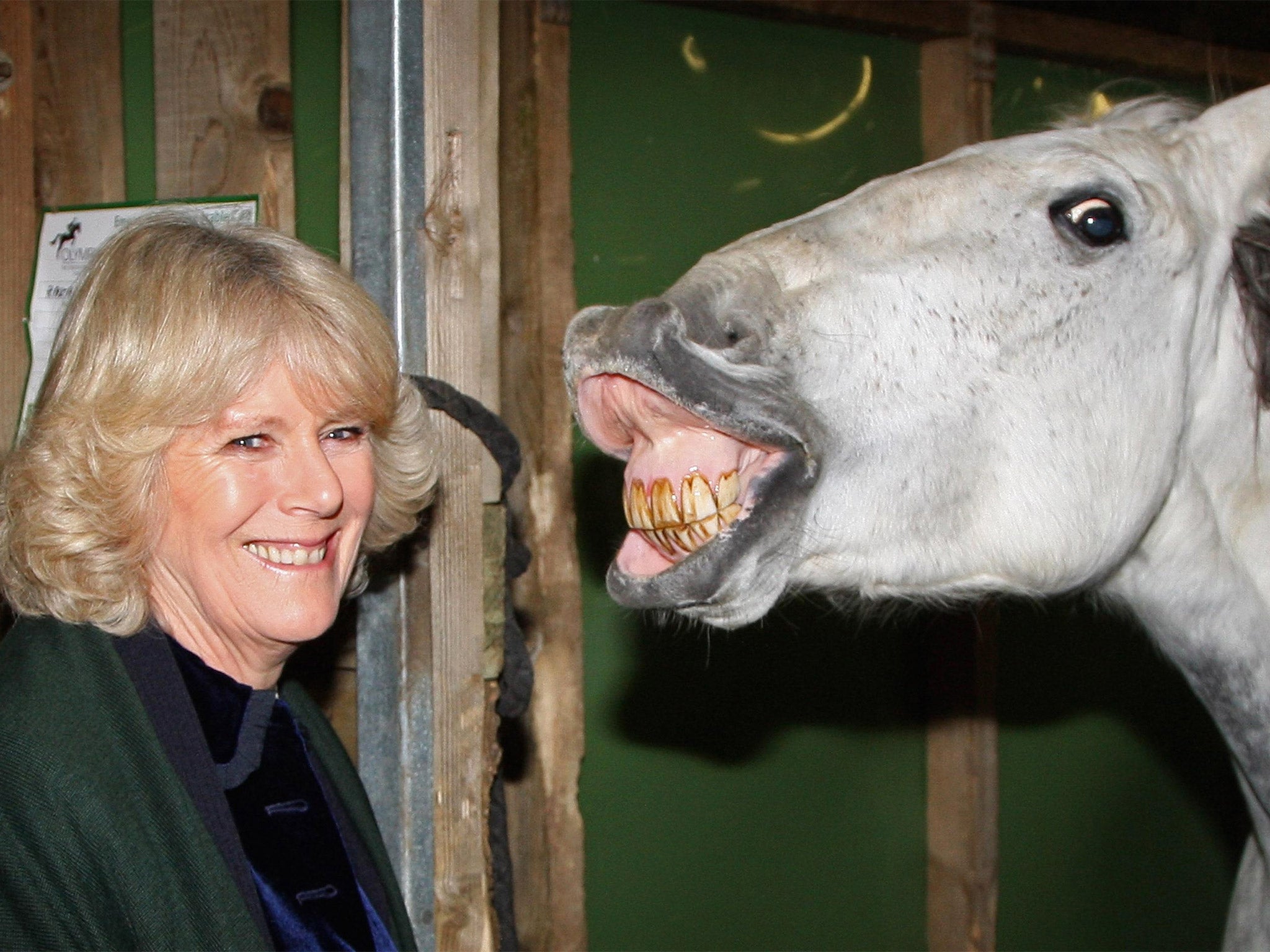 The Duchess of Cornwall touring the stables backstage at Olympia, The London International Horse Show