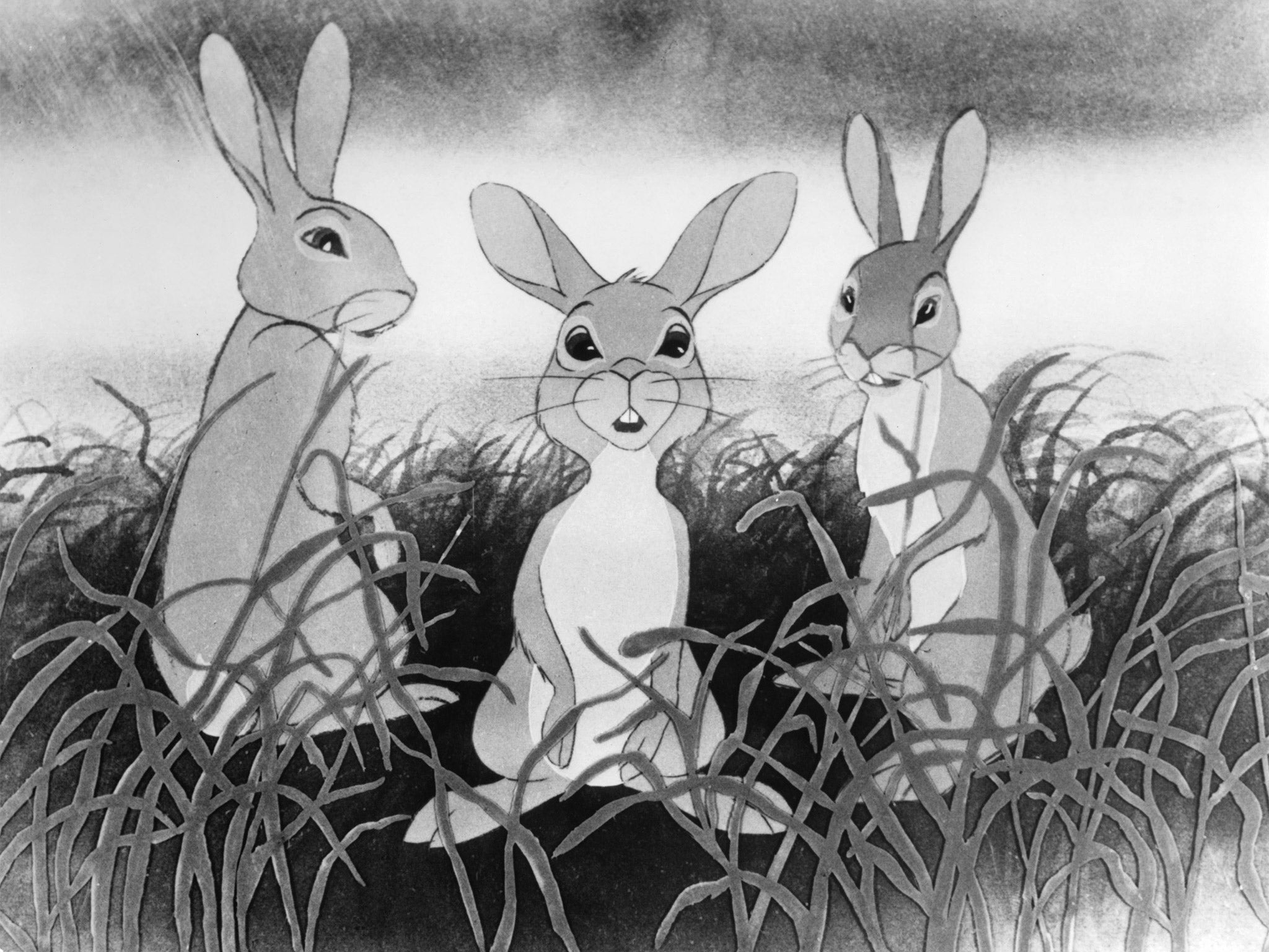 Three rabbits in a scene from the 1978 film 'Watership Down'