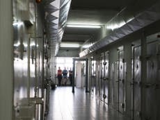 Prison red tape hampers rehabilitation