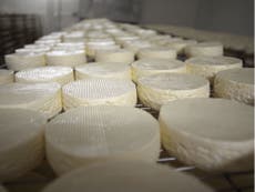 French cheese blamed for poisoning 300 children in school canteen