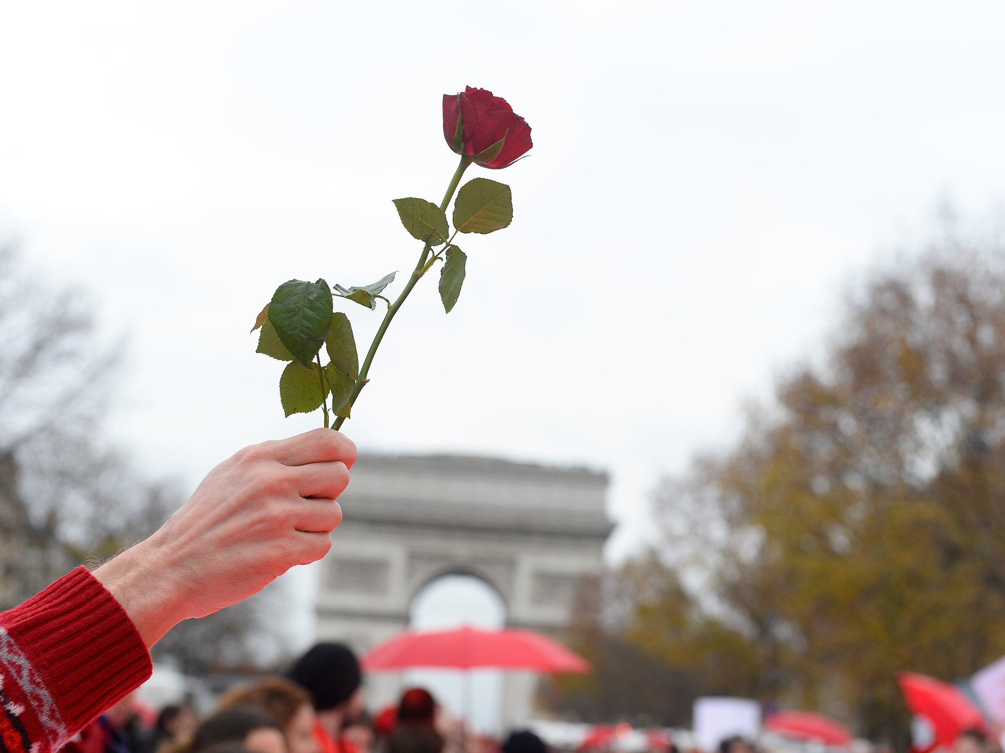 Are red roses a bit cheesy and predictable? (Getty)