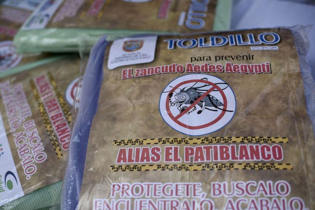 Mosquito nets in Cali, Colombia, which are being delivered to pregnant women to prevent them being bitten