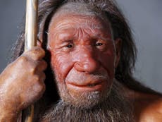 Mental health issues 'could have origins in Neanderthal interbreeding'
