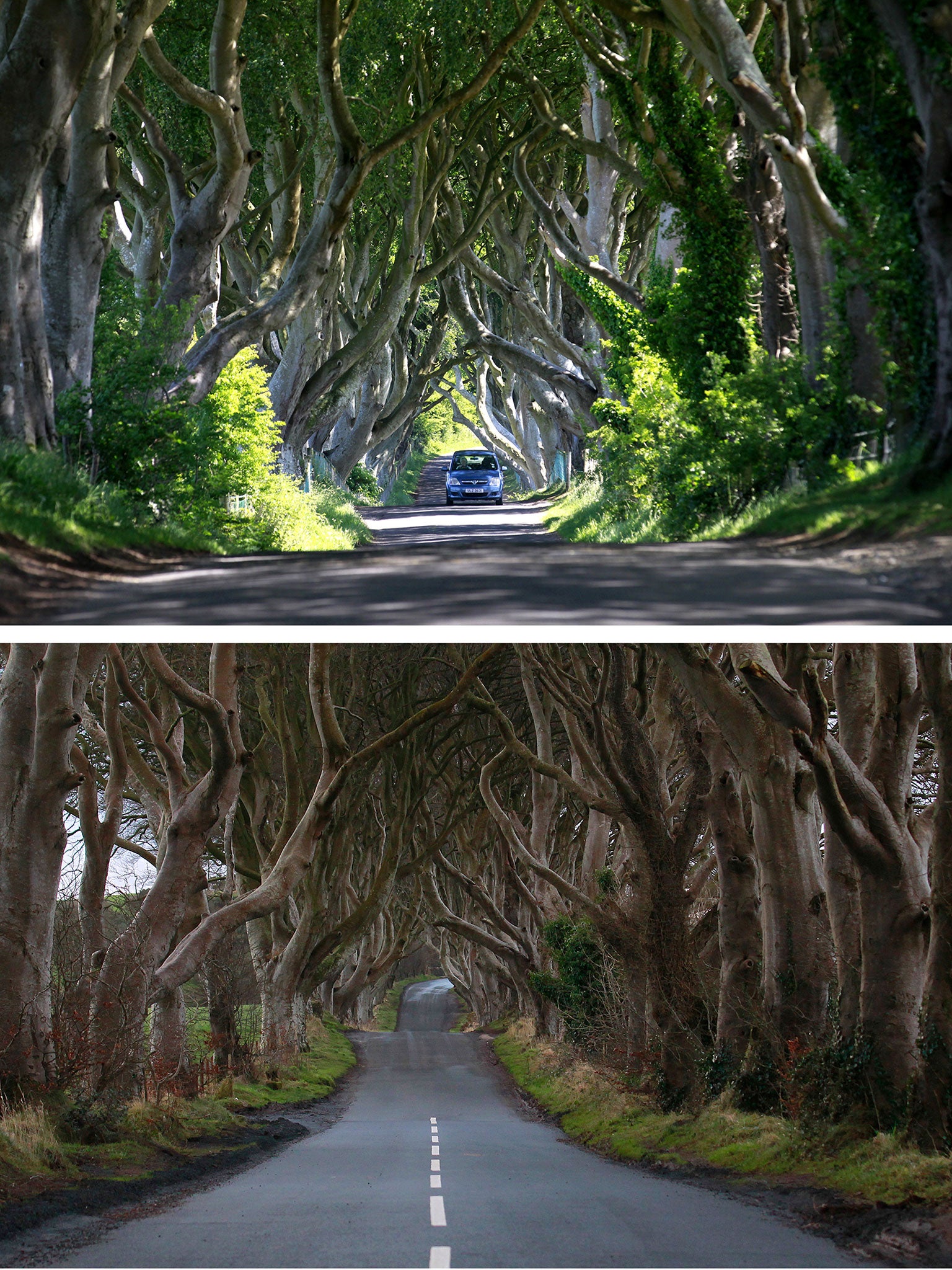 Before and after pictures showing the road markings along Dark Hedges