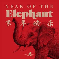WildAid launches ‘Year of the Elephant'