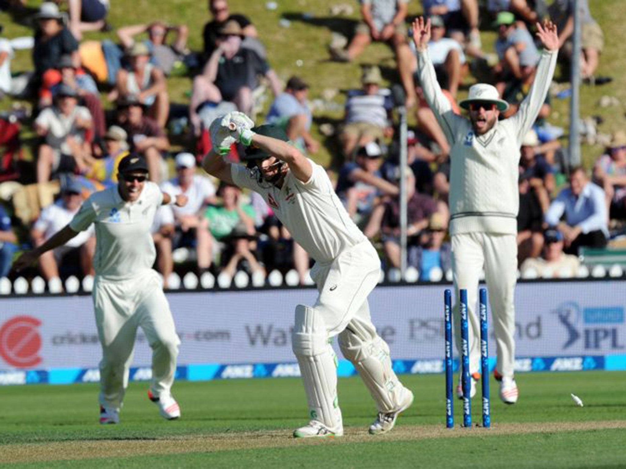 Australia’s Adam Voges is bowled late on by Doug Bracewell – only for the umpire to mistakenly call a no ball