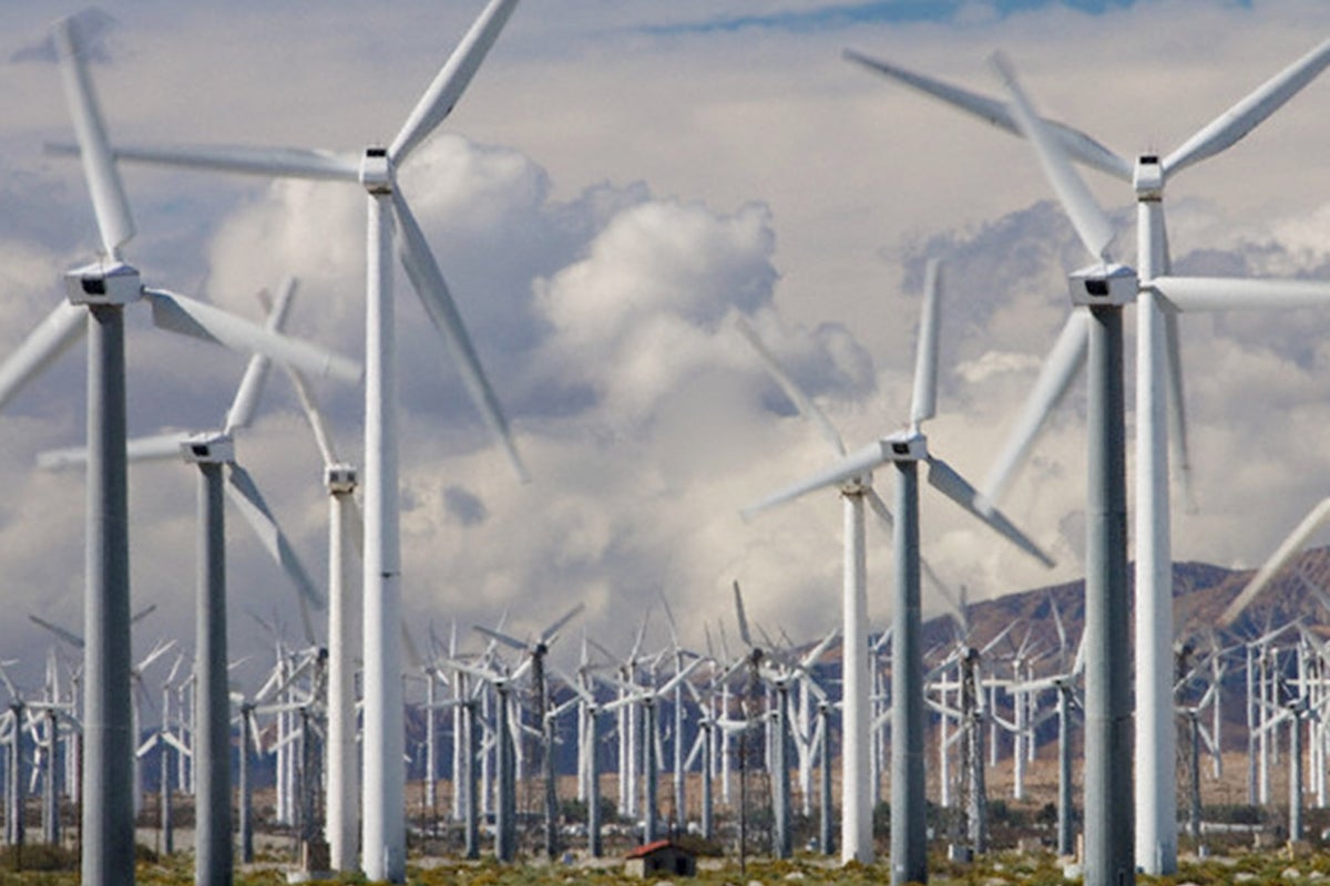 Cogenpower is first AIM listing of the year | The Independent | The ...
