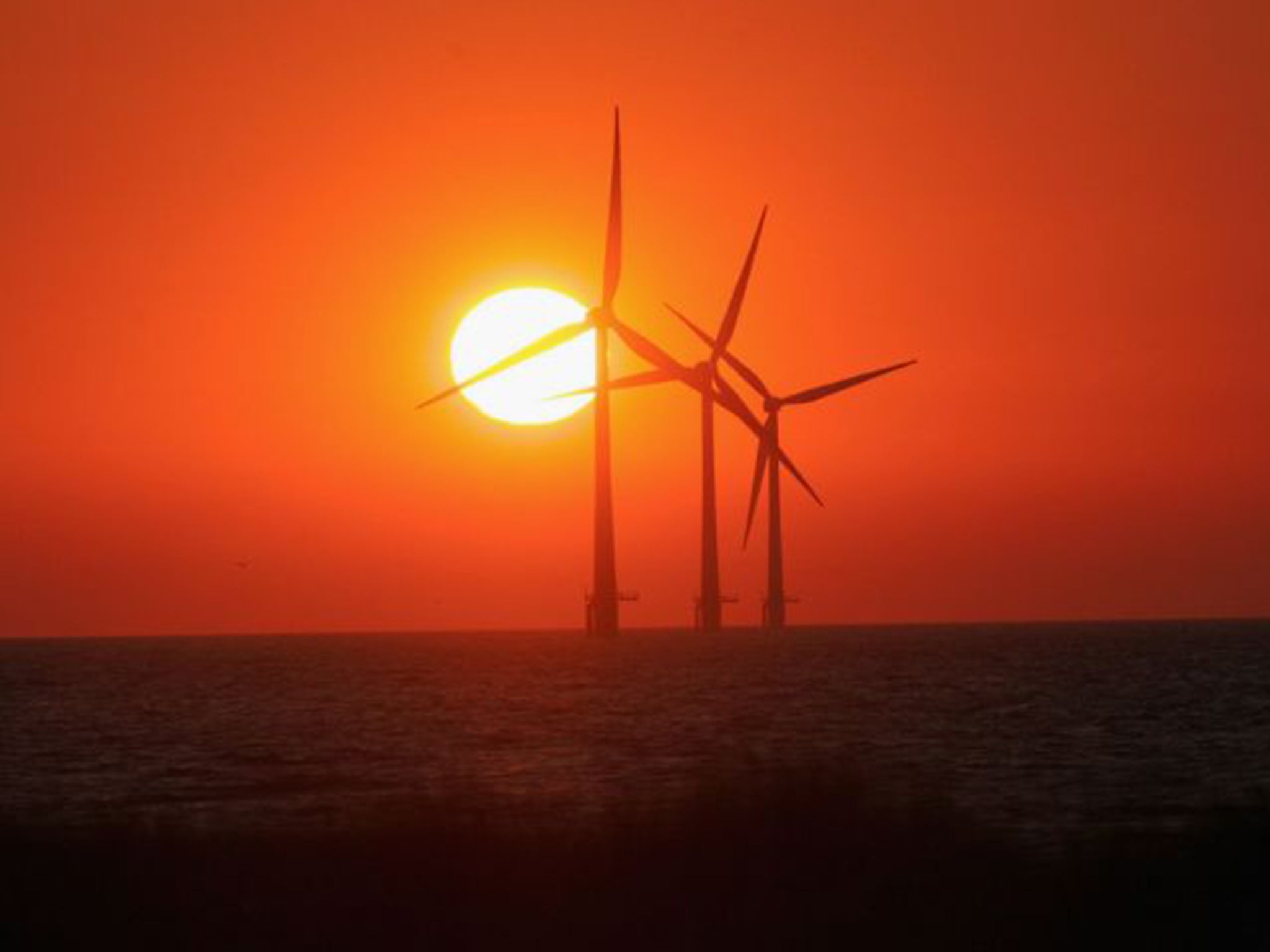 The Dogger Bank wind farm will comprise up to 800 turbines