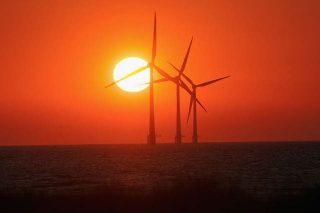 <p>The Dogger Bank wind farm will comprise up to 800 turbines</p>