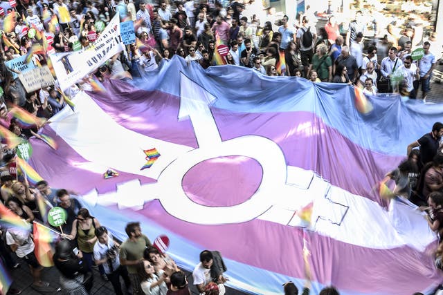 A giant transgender flag is displayed during the Trans Pride Parade in Istanbul