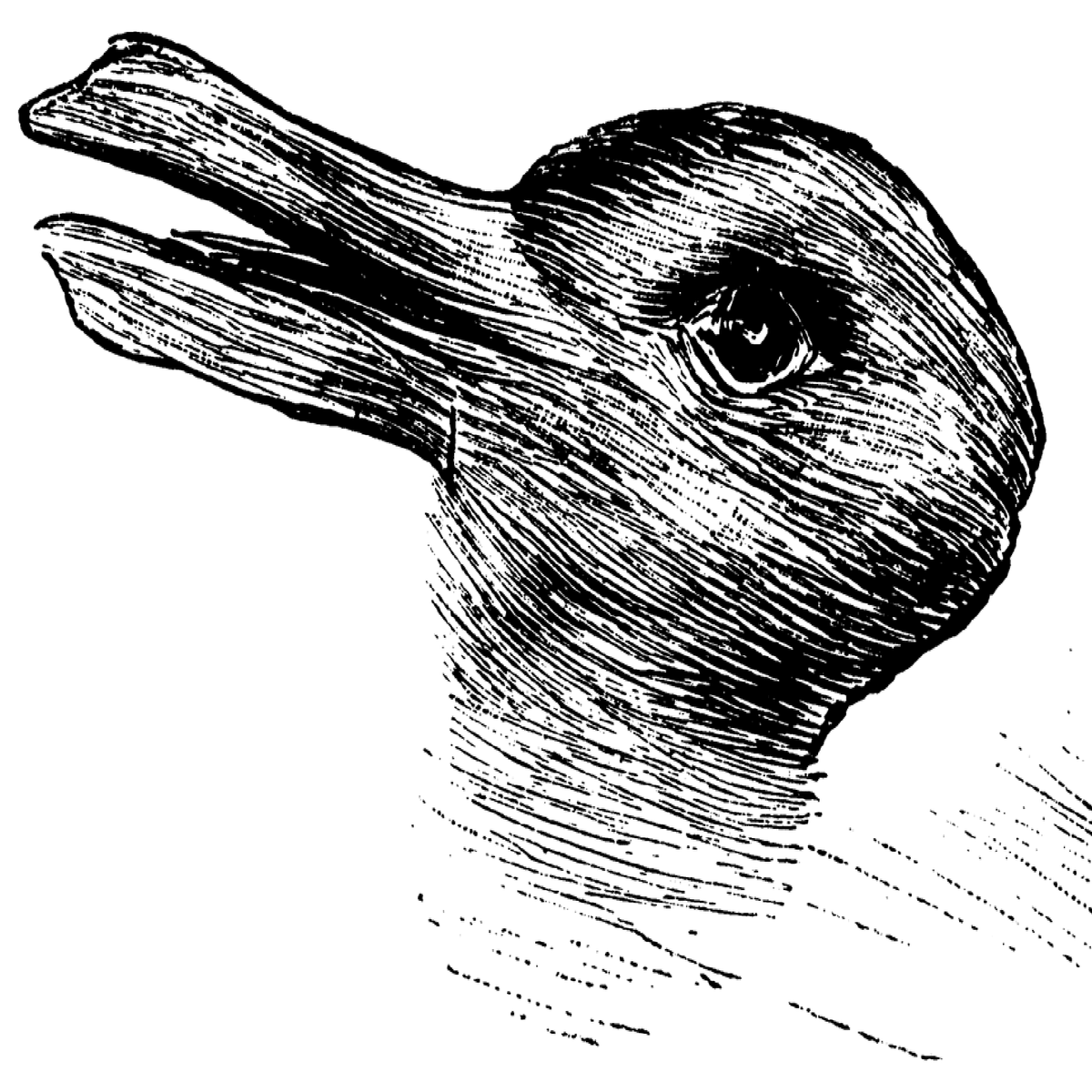 Duck or rabbit? 100-year-old optical illusion could tell you how ...