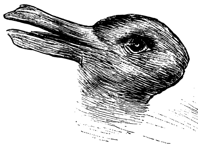 [Image: duck-rabbit.png?quality=75&width=640&auto=webp]