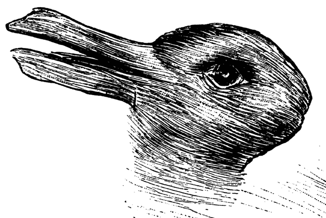 What do you see? A duck or a rabbit?
