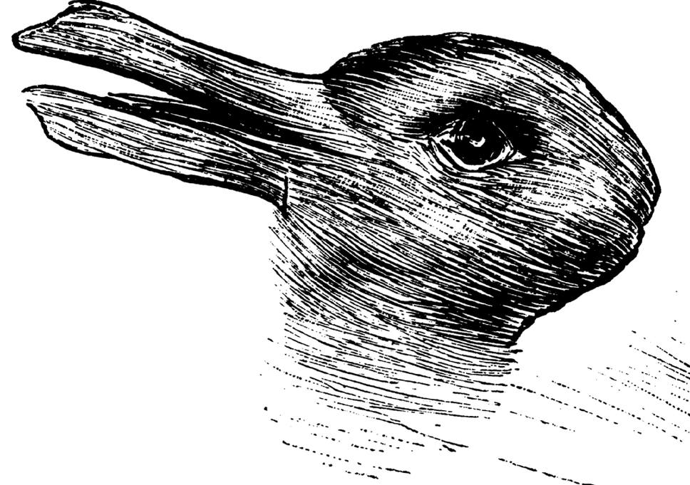 duck-rabbit.png