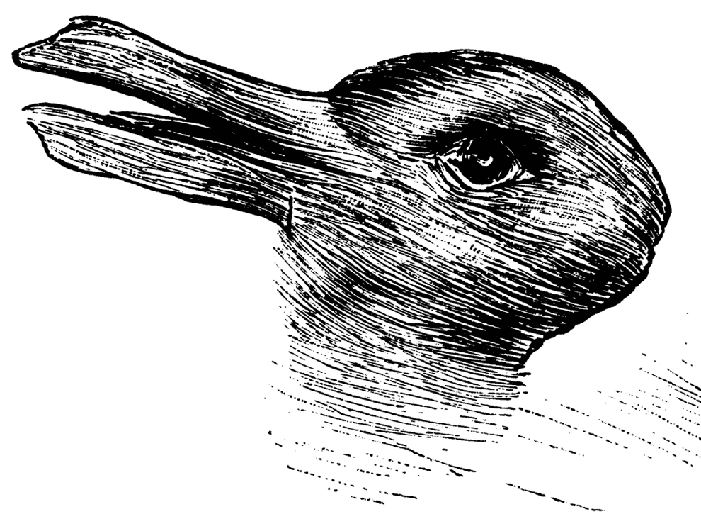 duck-rabbit.png