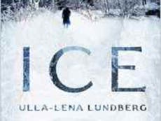 Ice, review: Scandi-noir with lots of sweetness and light but no bite