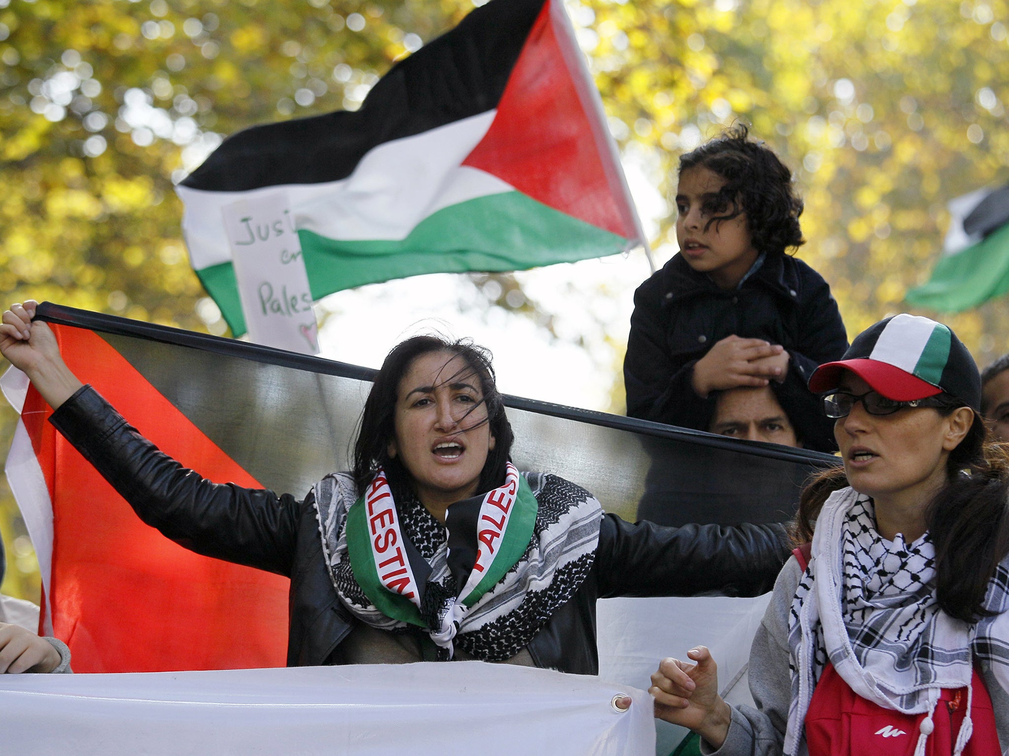 People take part in a pro-Palestinian demonstration in Paris, calling for a boycott of Israel, Oct 2015