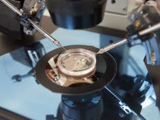 IVF use 'could be storing up health problems'
