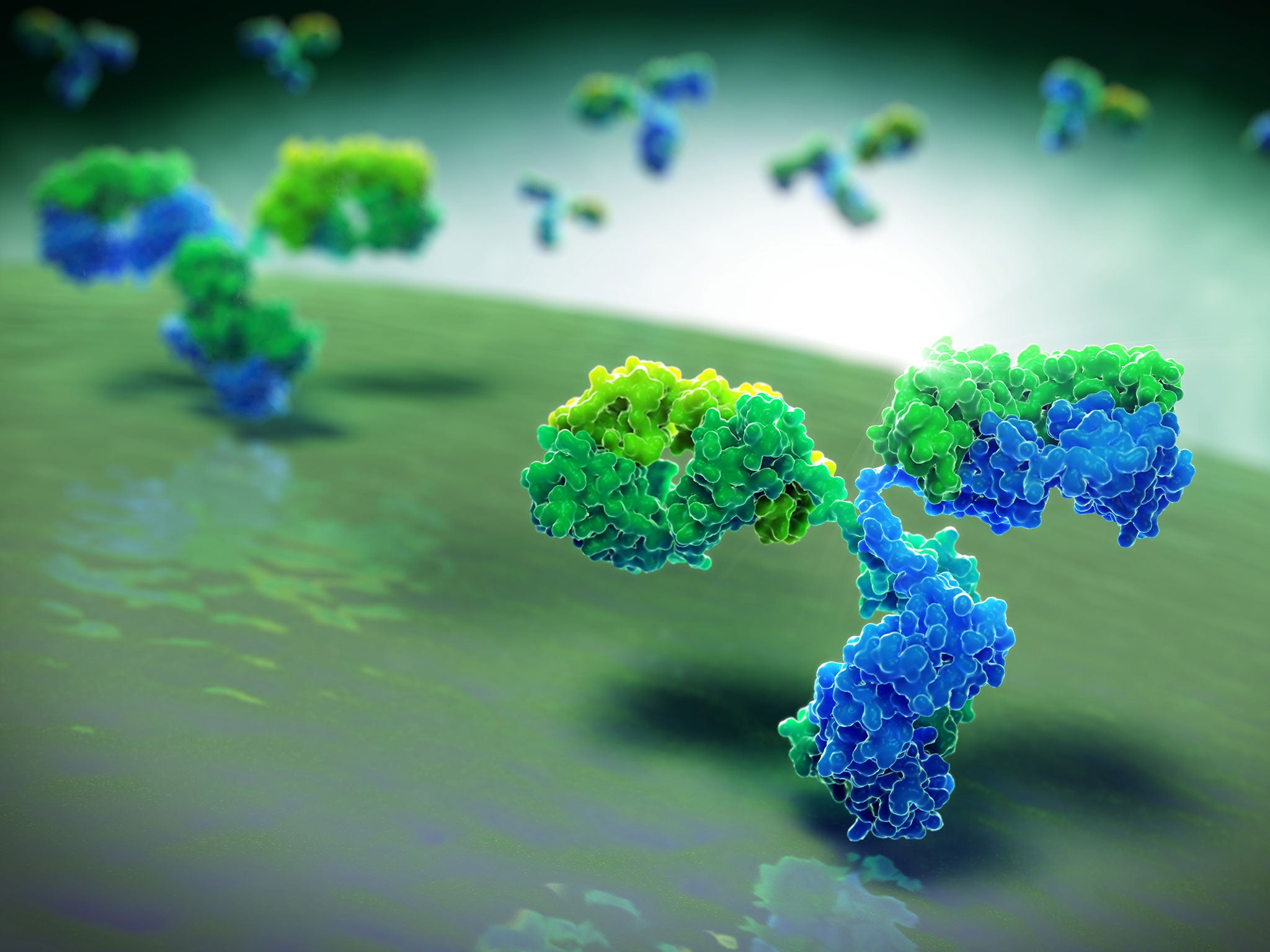 Scientists are following various approaches using antibodies, the proteins produced by the immune system to attack invading viruses and bacteria