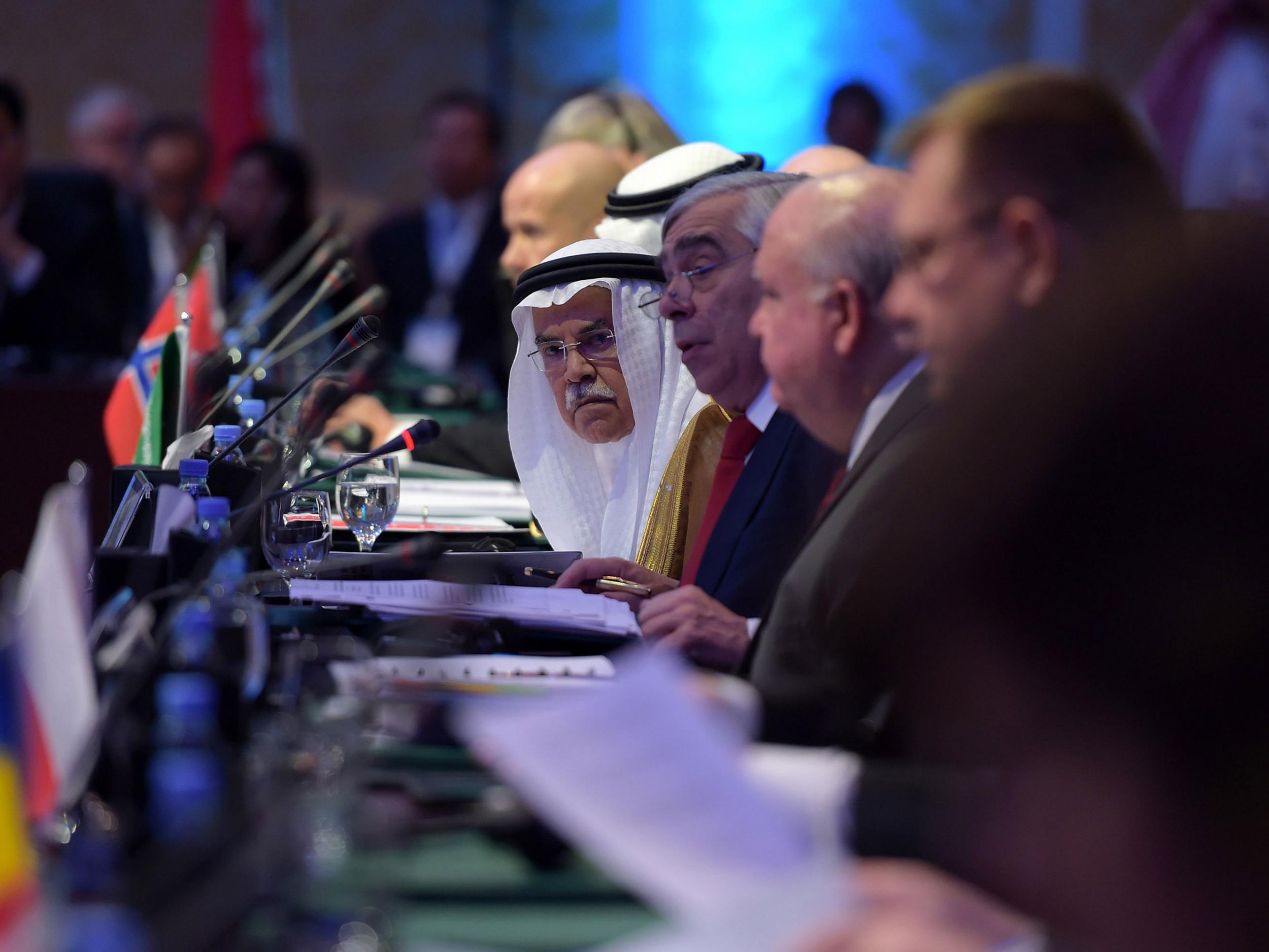 Saudi Oil Minister Ali al-Naimi (C) attends the 6th Ministerial Conference of the Carbon Sequestration Leadership Forum