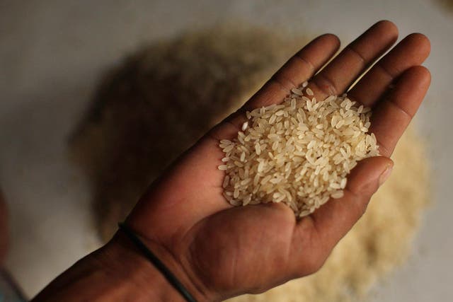 A key priority is to pack more nutrients into rice
