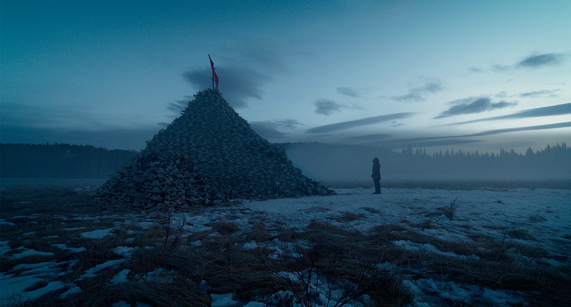 The Revenant, which Emmanuel Lubezki shot digitally using natural light before adding lighting elements in postproduction.