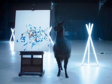 Artistic llama stars in unusual Samsung Galaxy S7 promotional video
