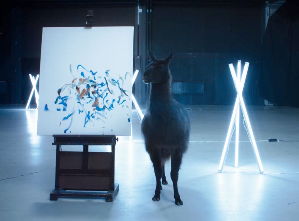 Kuzco the llama stands next to his artistic interpretation of the Samsung Galaxy S7