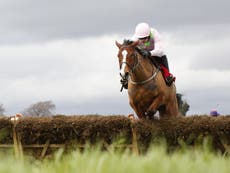 Faugheen ruled out of Cheltenham Festival title defence