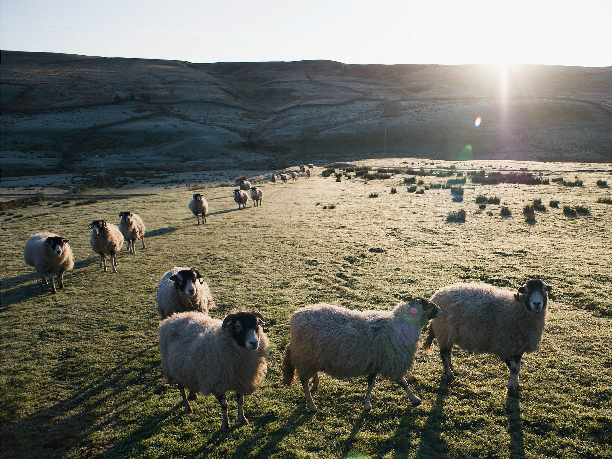 Swaledale in North Yorkshire may have bags of rural charm, but its poor internet connection makes life difficult for the communities that live there