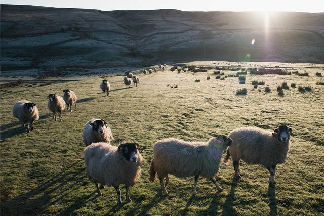 Swaledale in North Yorkshire may have bags of rural charm, but its poor internet connection makes life difficult for the communities that live there