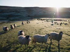 Everest satellite technology to bring Yorkshire moors broadband up to 