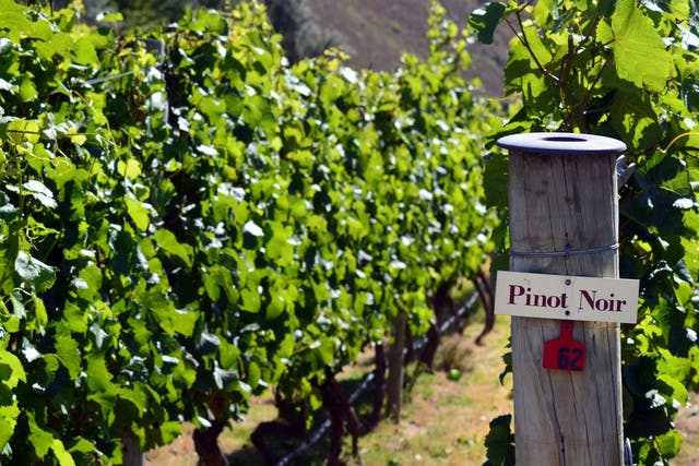 It was once thought that pinot noir in New Zealand was only good for sparkling wine