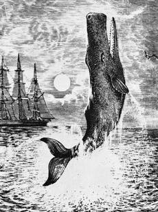 Book of a lifetime: Moby Dick by Herman Melville