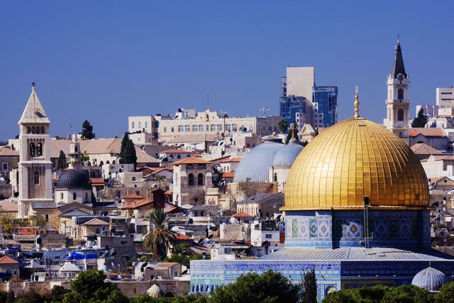 The novel concerns an Israeli woman who returns to Jerusalem to house-sit her mother's flat