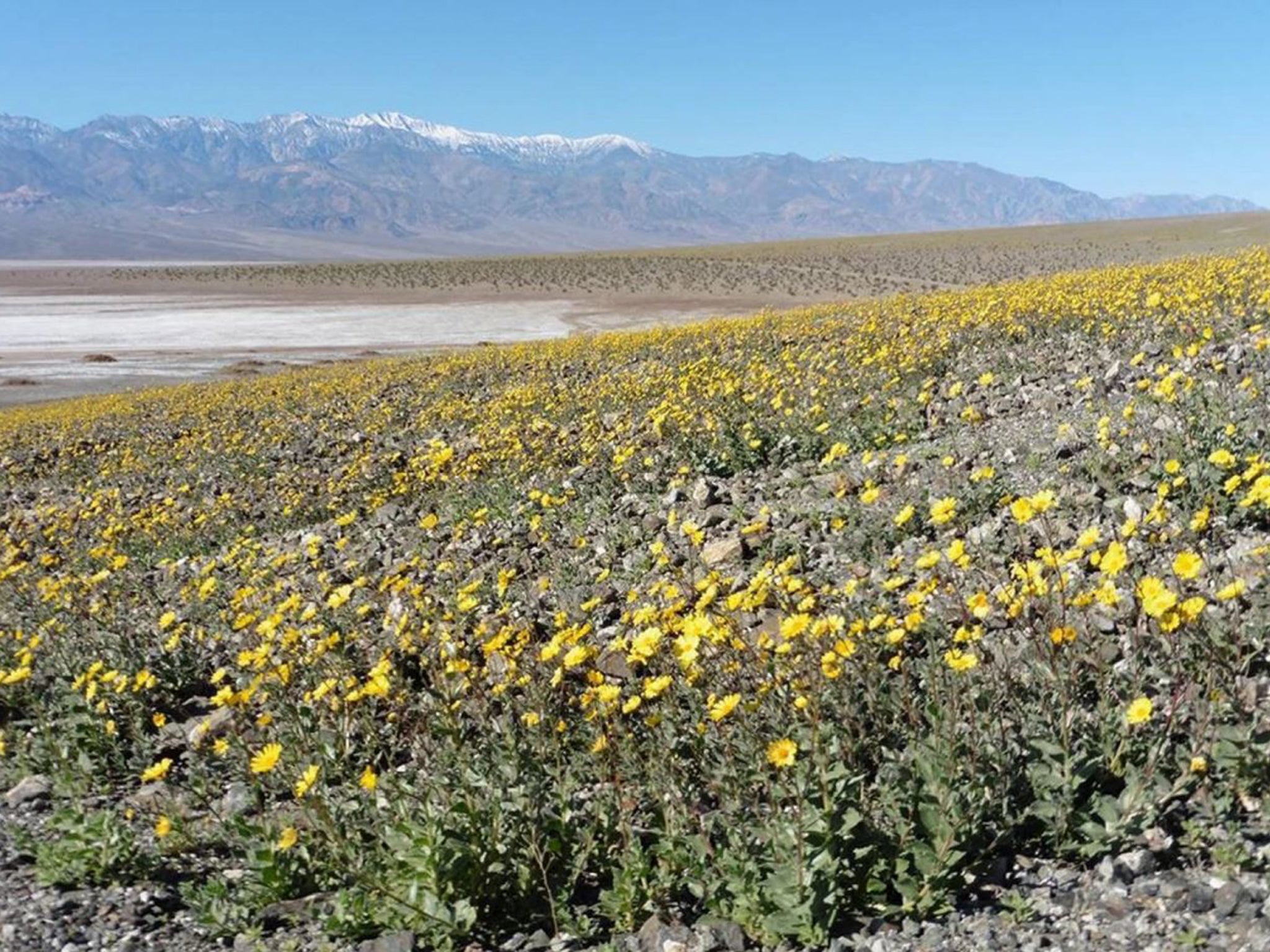 Facebook/Death Valley National Park